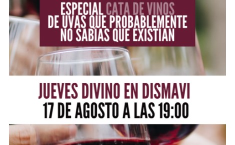 CATA DE VINOS EN DISMAVI 17/08